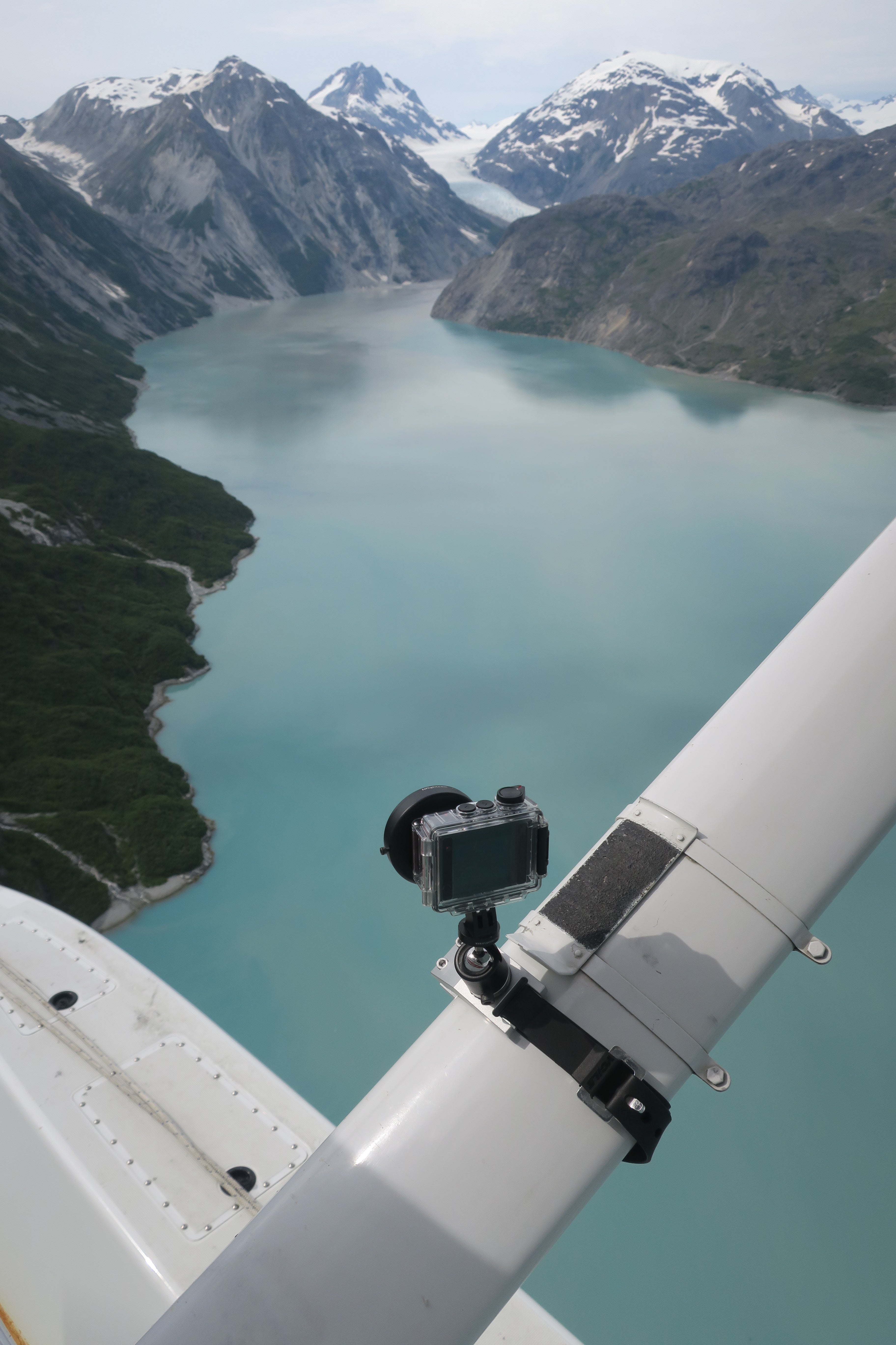 NFlightCam Strut Clamp Camera Mount